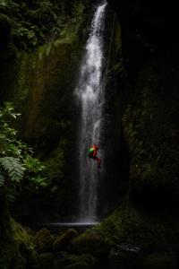 a large waterfall in a forest